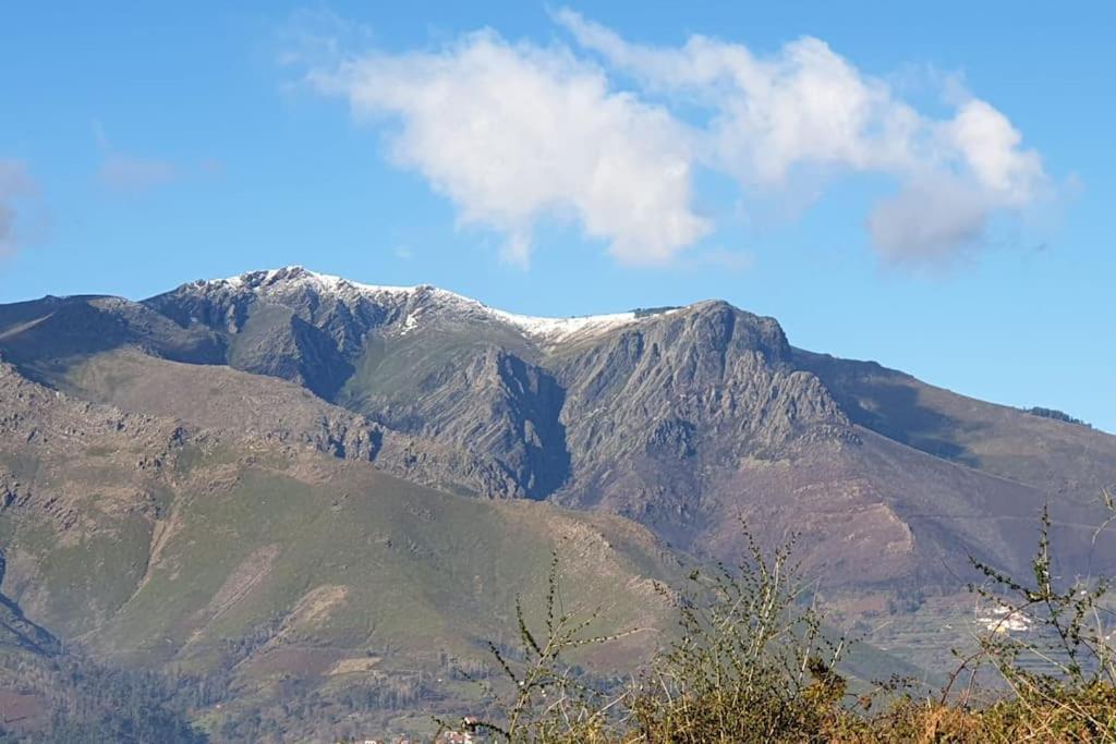 Cantinho Dos Montes Lägenhet Vila Real Exteriör bild